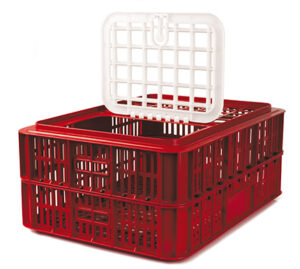 Live Chicken Crate